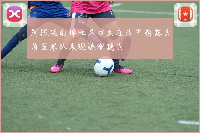 阿根廷前锋帕尼切利在法甲崭露头角国家队表现逐渐稳固